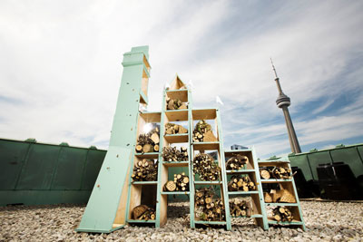 A bee hotel: stacked wooden cubby holes filled with loose pieces of wood